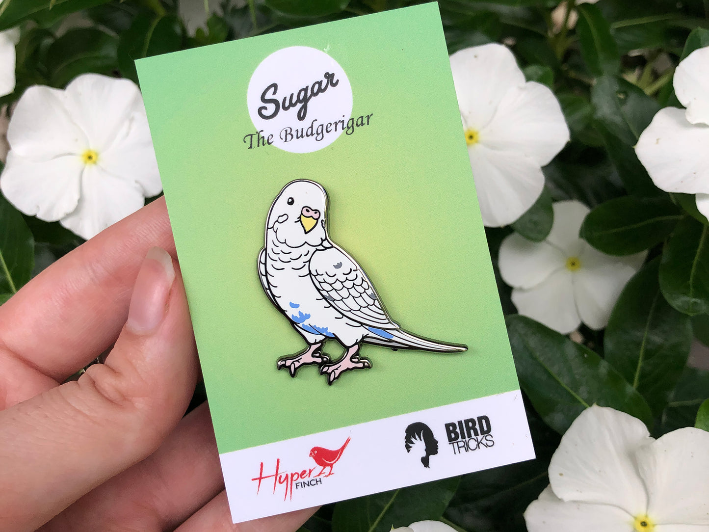 Sugar The Budgerigar Enamel Pin