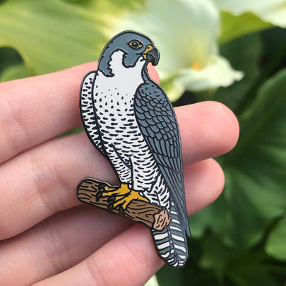 Peregrine Falcon Enamel Pin