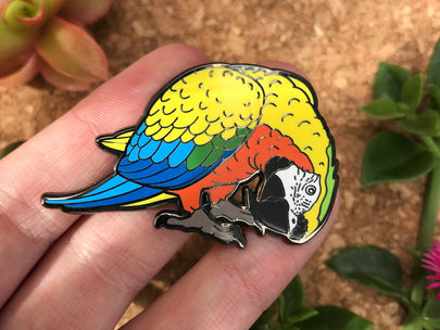 Comet The Camelot Macaw Enamel Pin