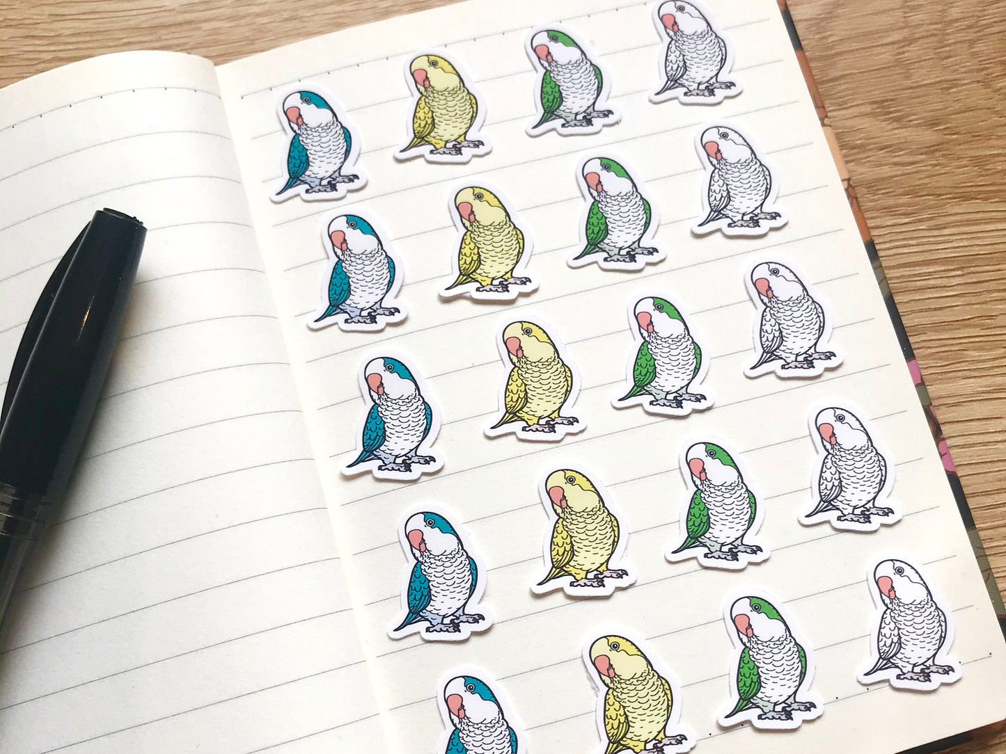Mixed Quaker Parrot Mini Sticker Pack (20 pack)