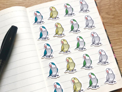 Mixed Quaker Parrot Mini Sticker Pack (20 pack)