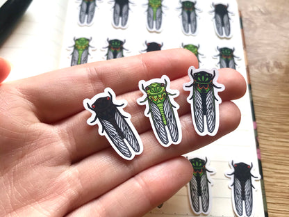 Mixed Cicada Mini Sticker Pack (20 pack)