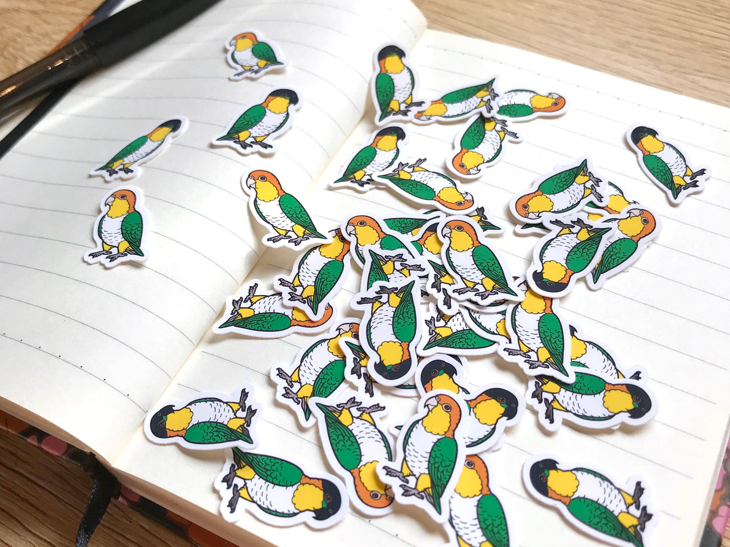 Mixed Caique Mini Sticker Pack (20 pack)