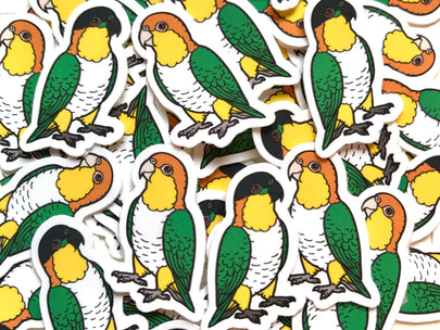 Mixed Caique Mini Sticker Pack (20 pack)