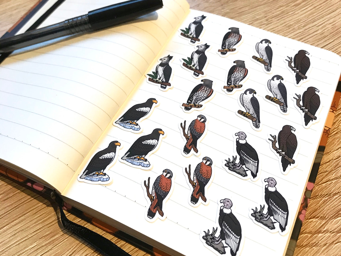 Birds of Prey Mini Sticker Pack (20 pack)