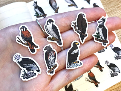 Birds of Prey Mini Sticker Pack (20 pack)