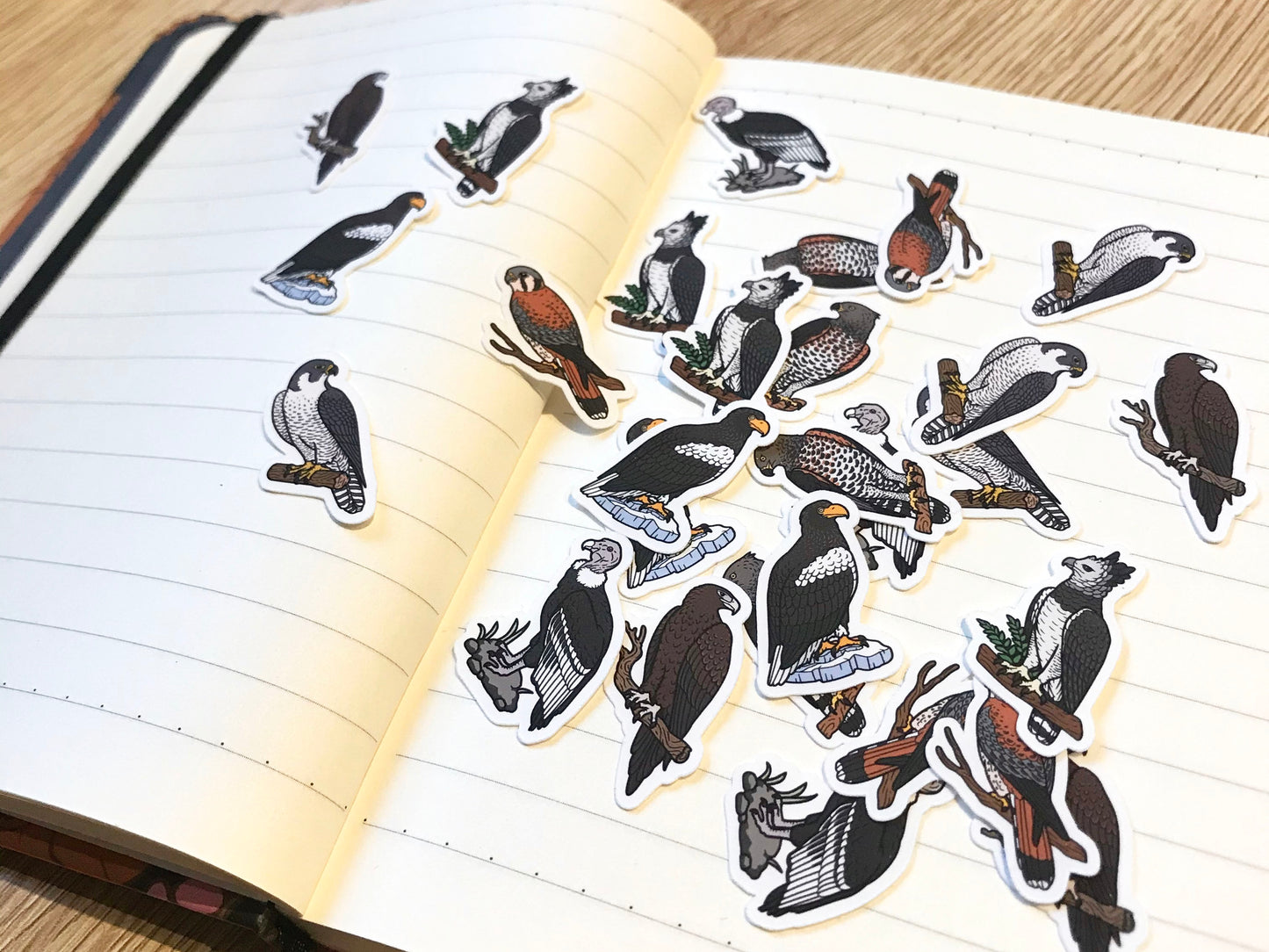 Birds of Prey Mini Sticker Pack (20 pack)