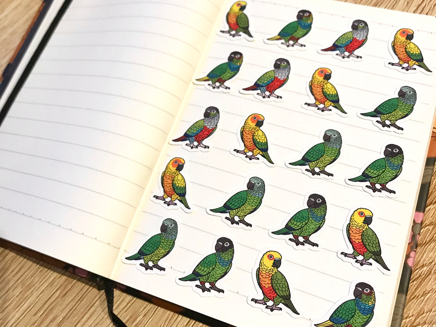 Mixed Conure Mini Sticker Pack (20 pack)