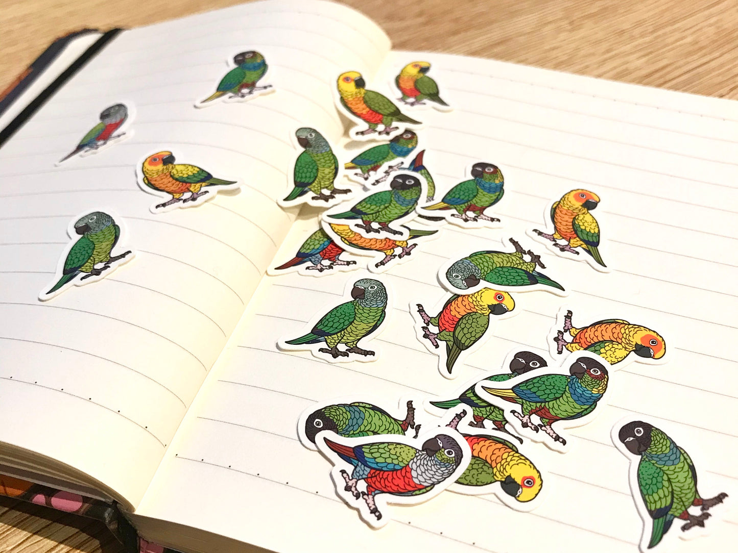 Mixed Conure Mini Sticker Pack (20 pack)
