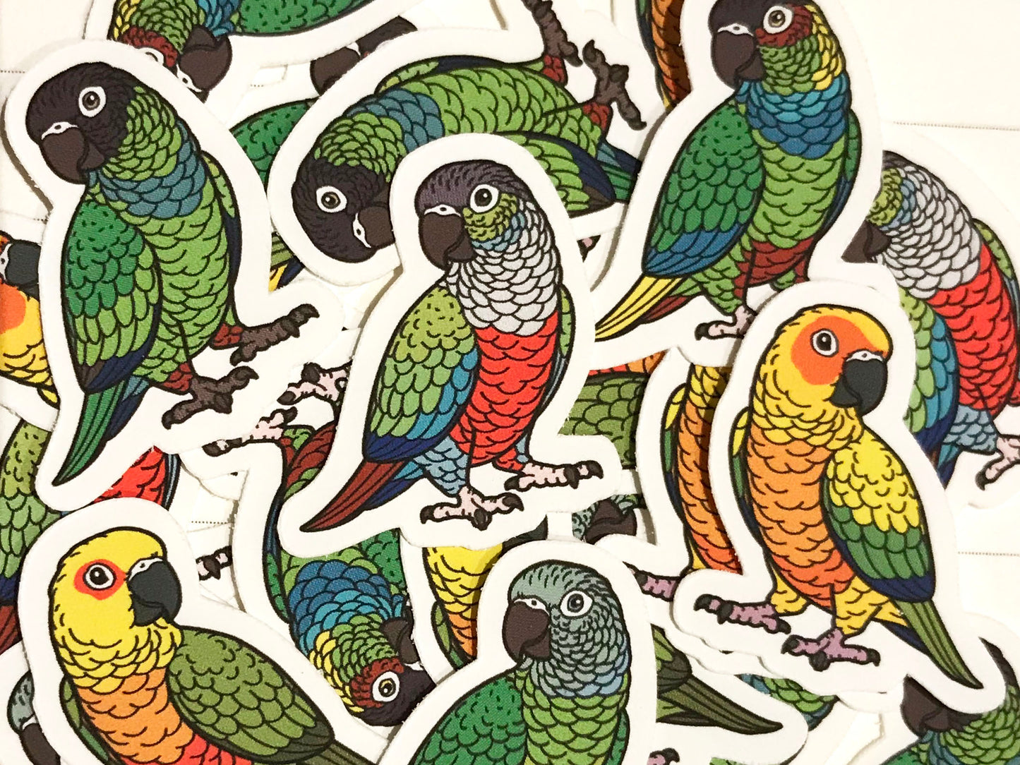 Mixed Conure Mini Sticker Pack (20 pack)