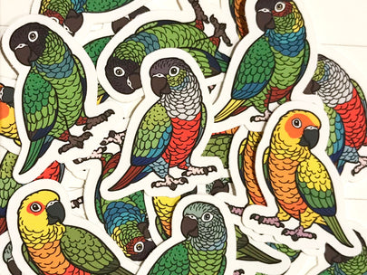 Mixed Conure Mini Sticker Pack (20 pack)