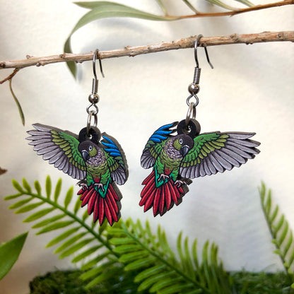 Green-cheeked Conure Wooden Earrings