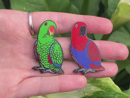 Eclectus Parrot Enamel Pin