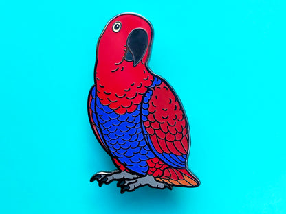 Eclectus Parrot Enamel Pin