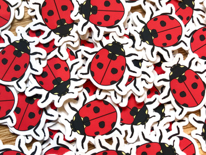 Lady Beetle Mini Sticker Pack (20 pack)