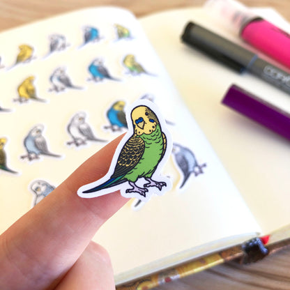 Mixed Budgie Mini Sticker Pack (20 pack)