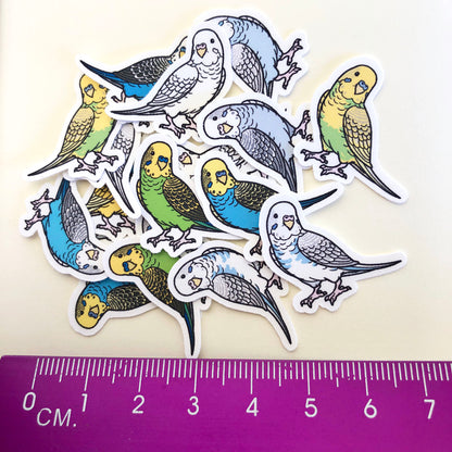 Mixed Budgie Mini Sticker Pack (20 pack)