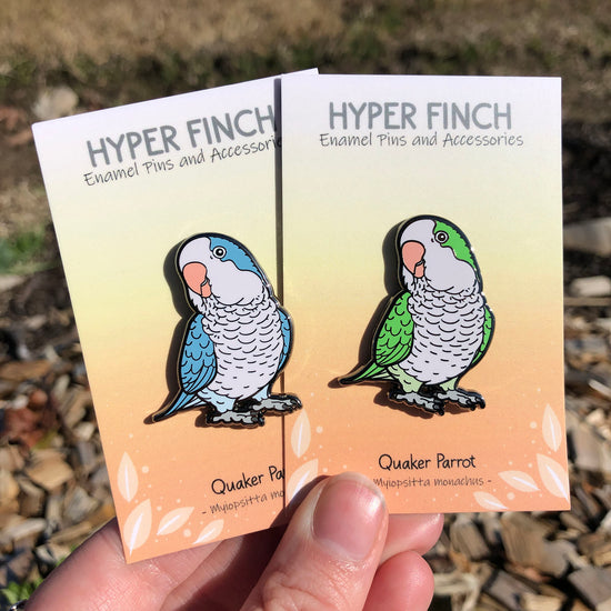 Quaker Parrot Enamel Pin – Hyper Finch