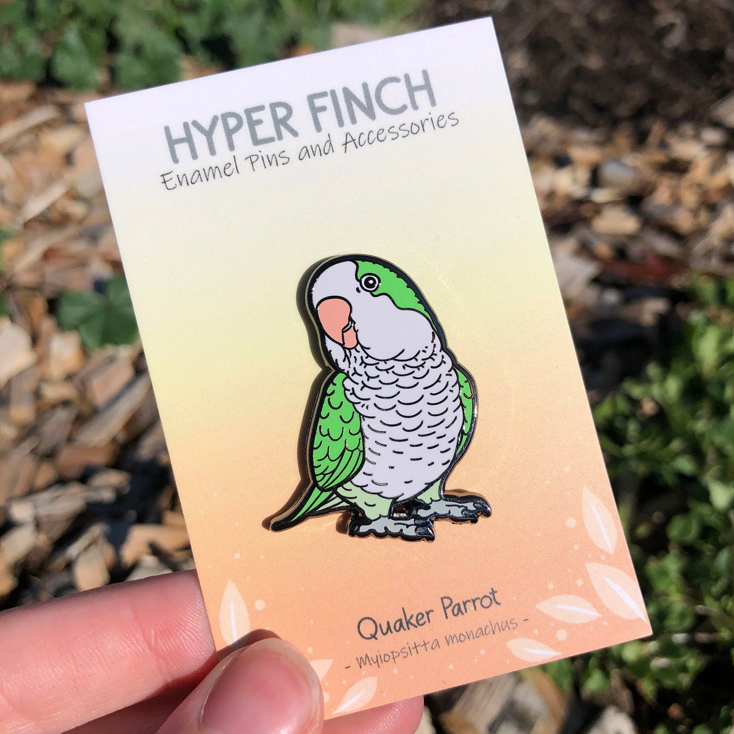 Quaker Parrot Enamel Pin