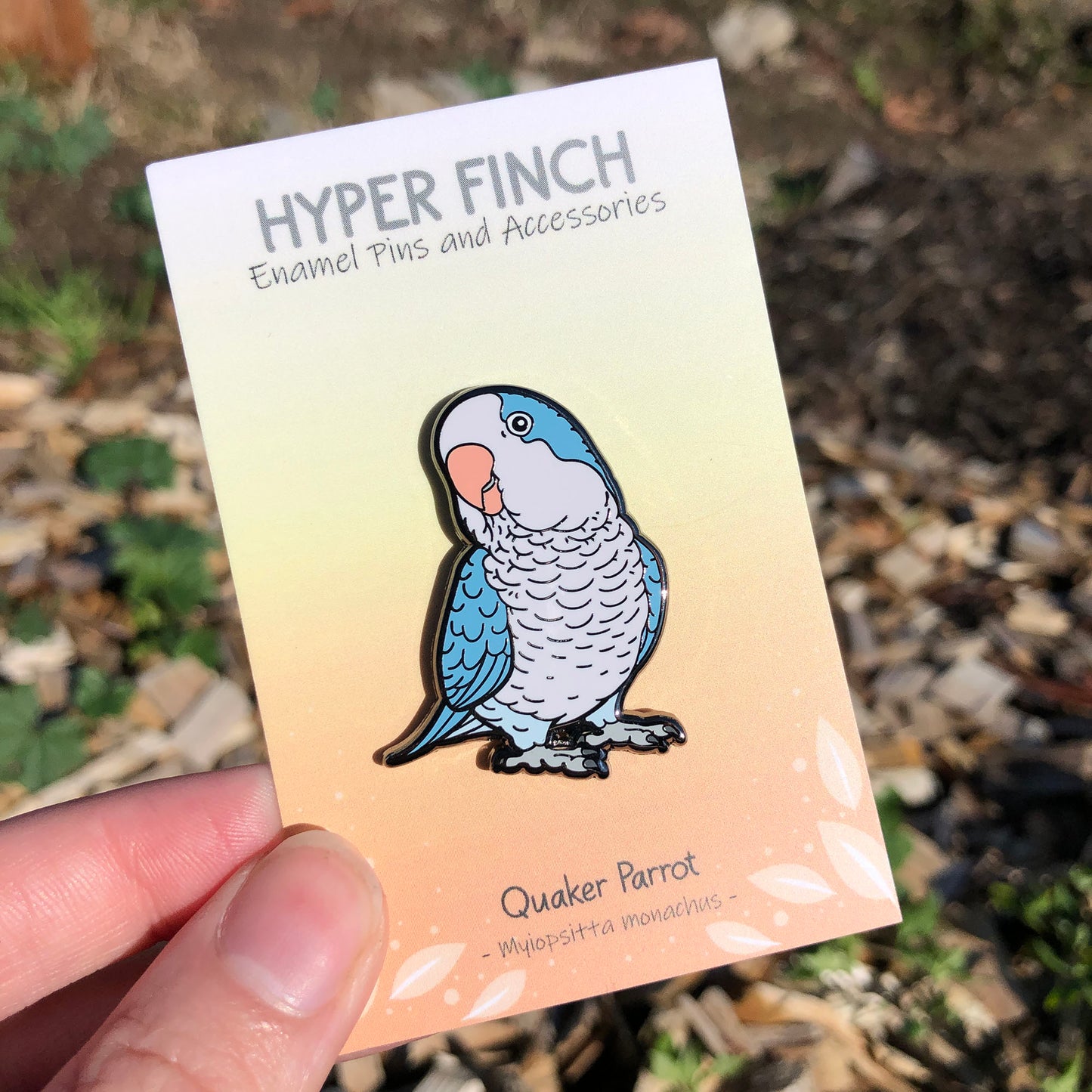 Quaker Parrot Enamel Pin