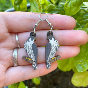 Peregrine Falcon Wooden Earrings