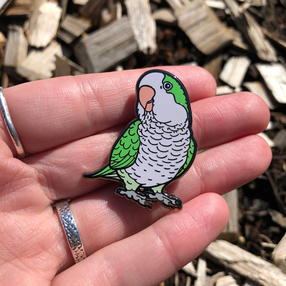 Quaker Parrot Enamel Pin – Hyper Finch