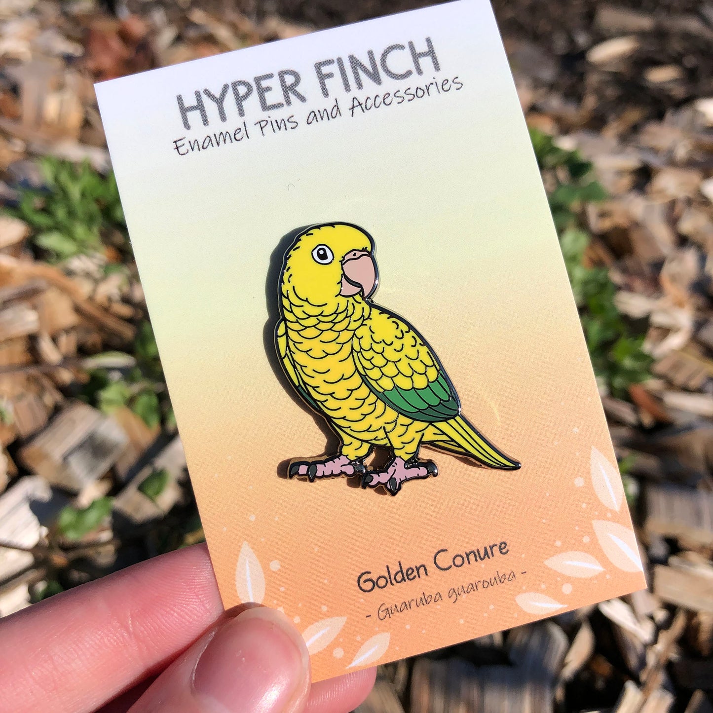 Golden Conure Enamel Pin