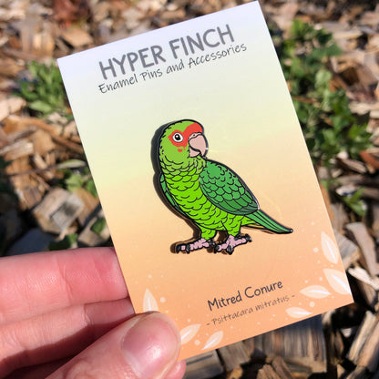 Mitred Conure Enamel Pin