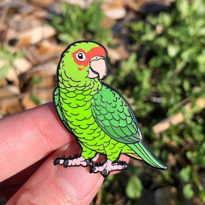 Mitred Conure Enamel Pin