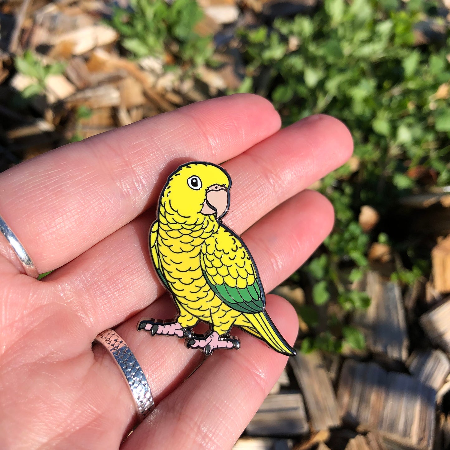 Golden Conure Enamel Pin