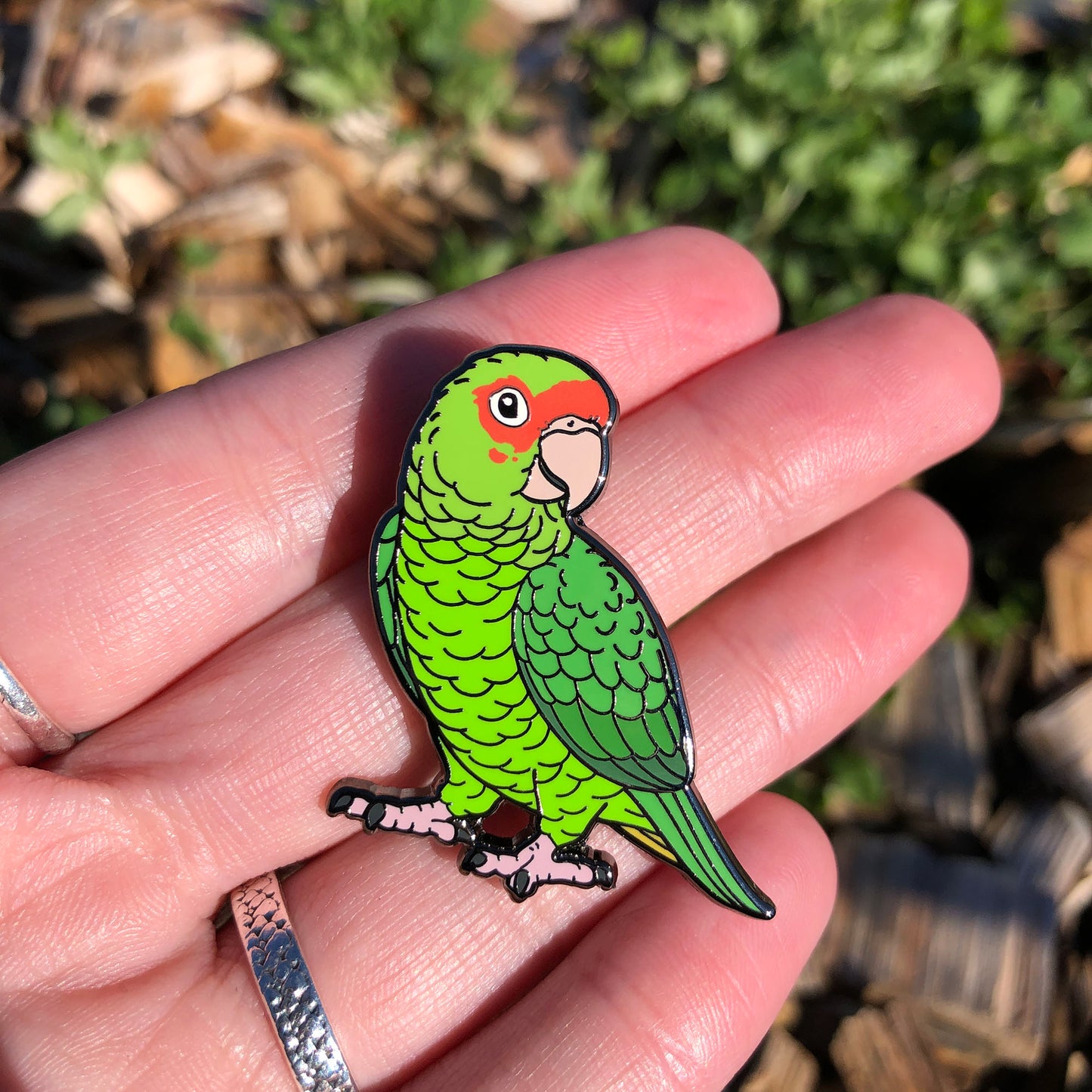 Mitred Conure Enamel Pin