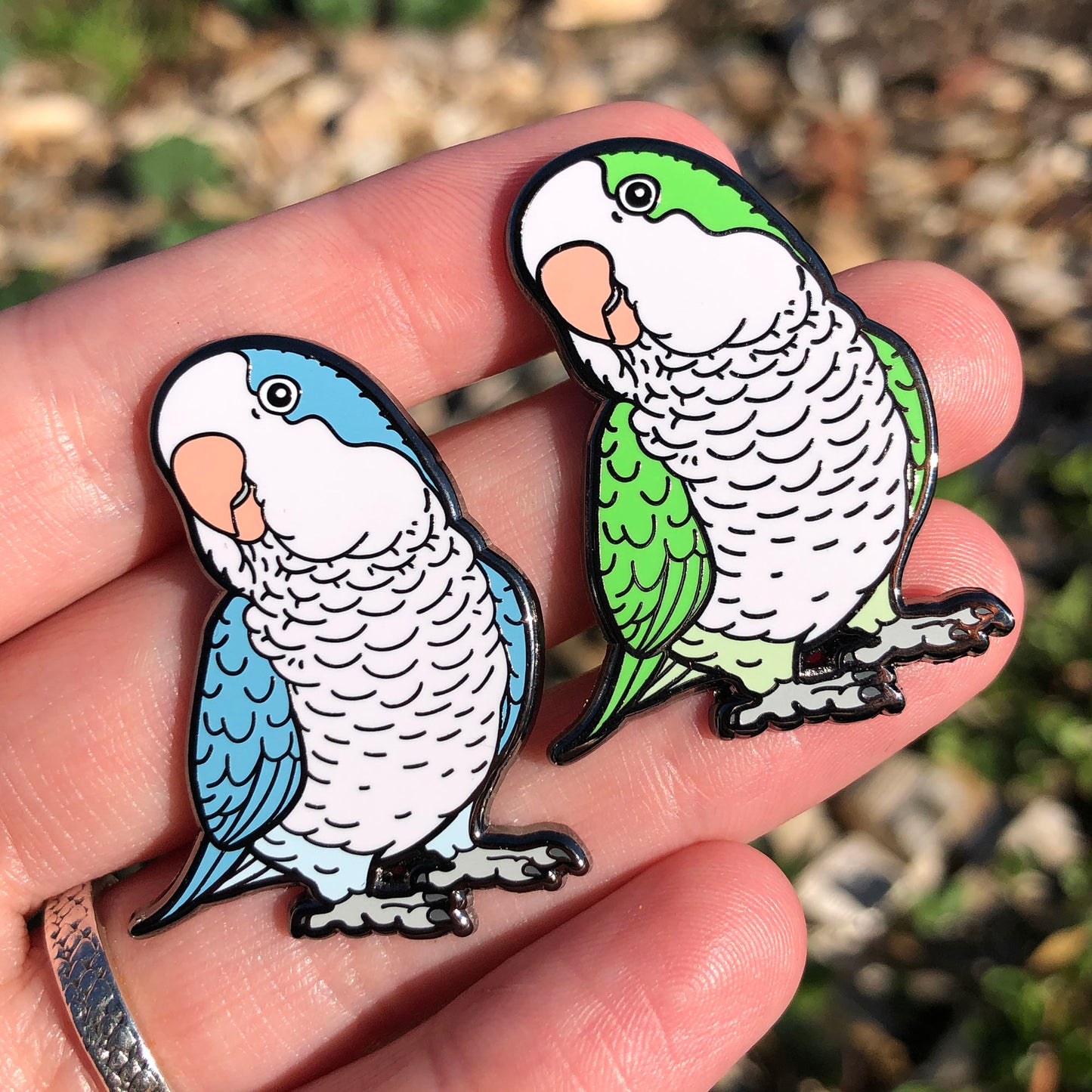 Quaker Parrot Enamel Pin