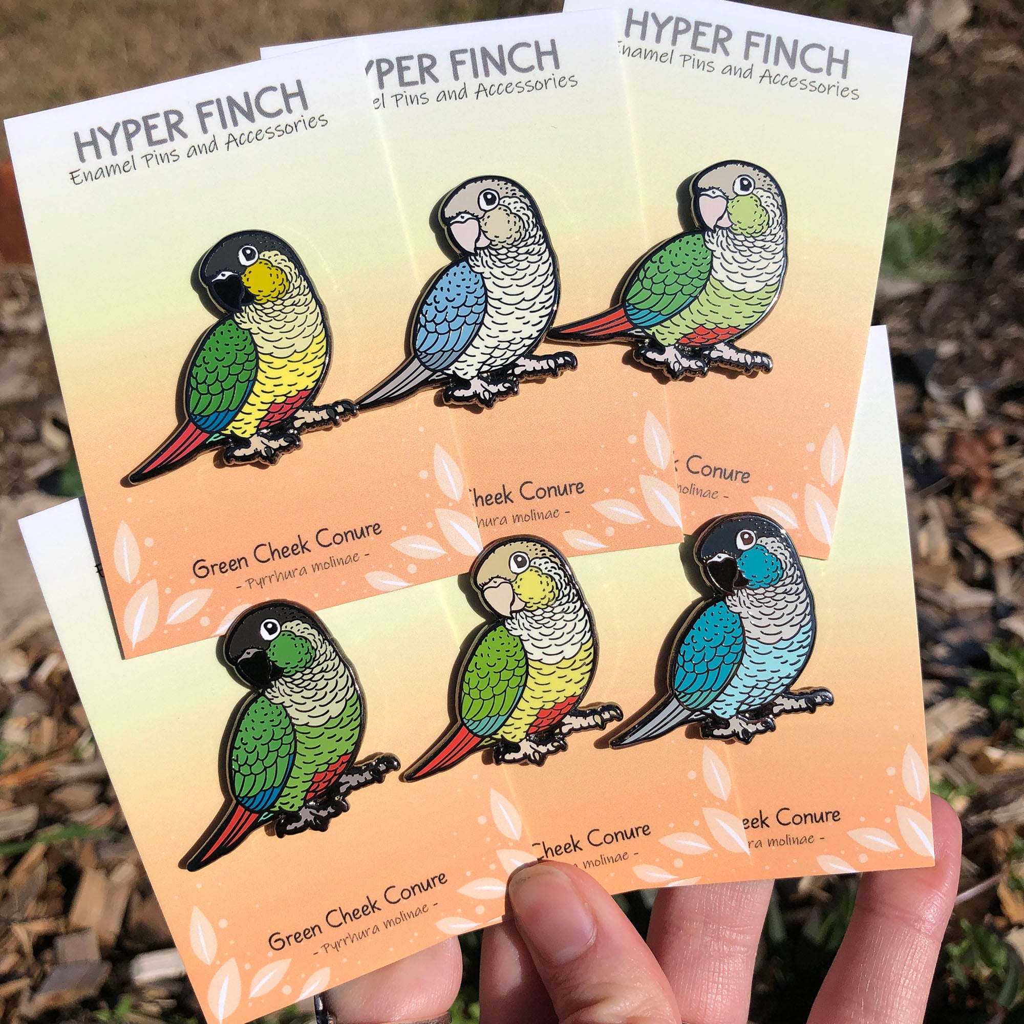 Green cheeked Conure Enamel Pin