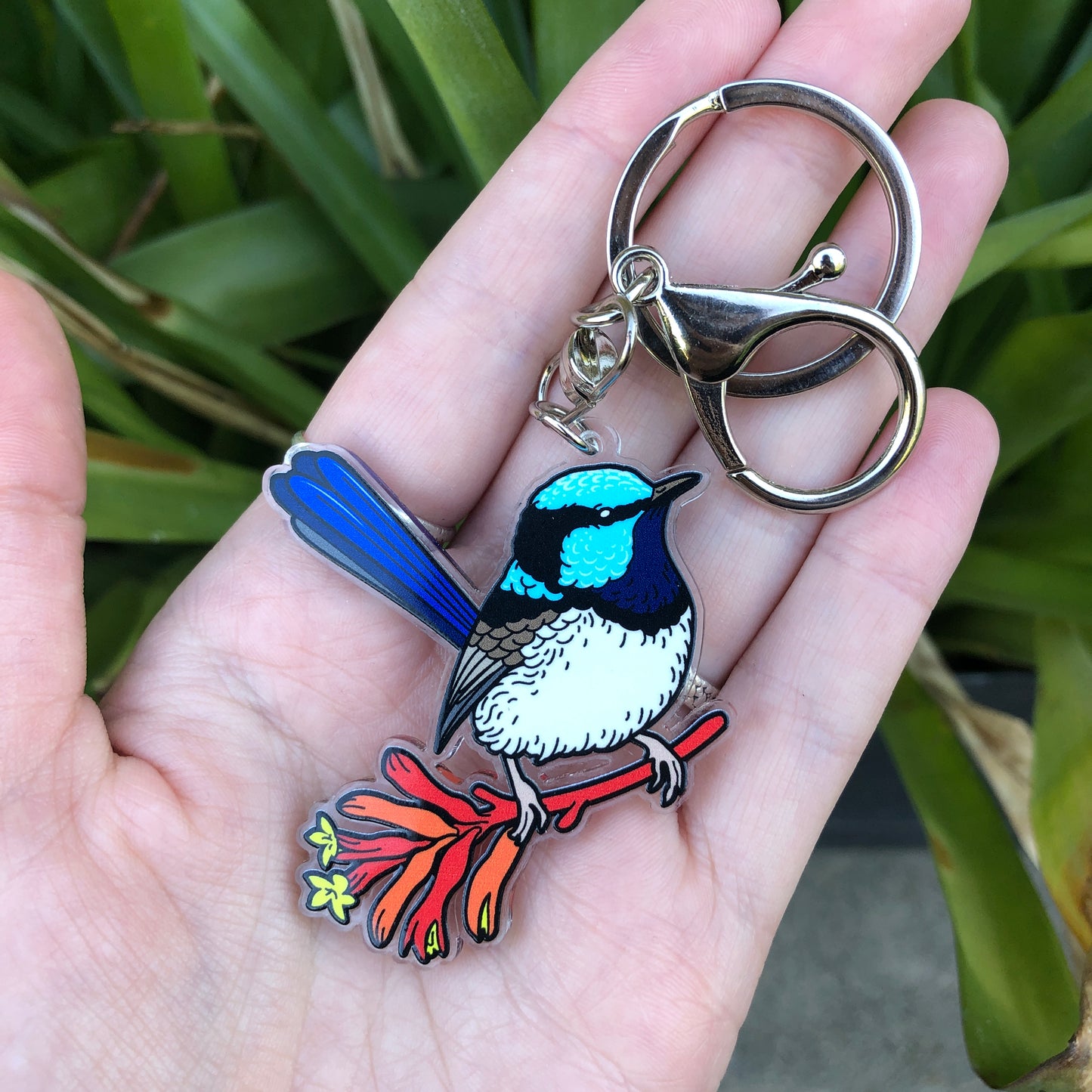 Superb Fairywren Keychain