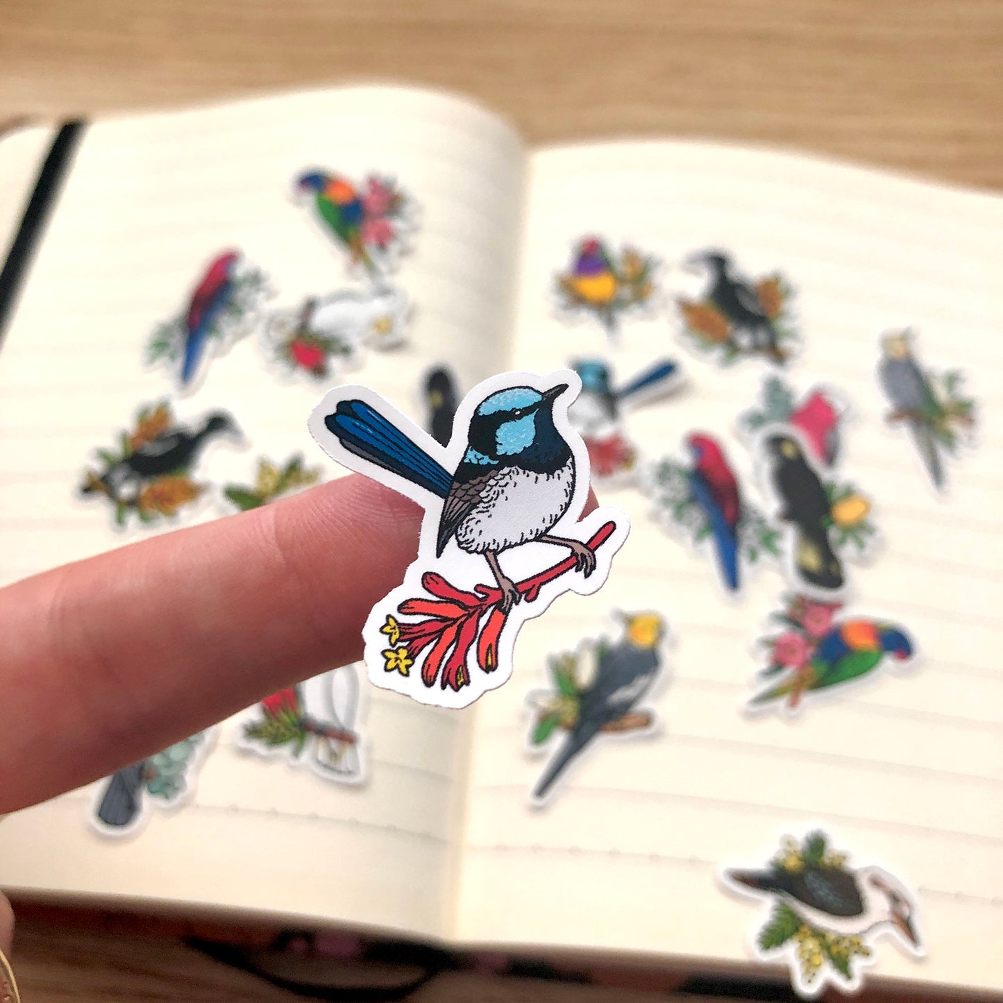 Australian Birds Mini Sticker Pack (20 pack)