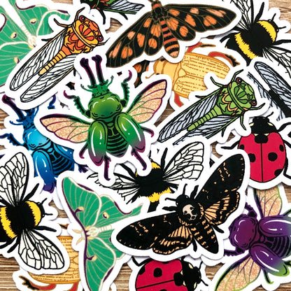 Mixed Insect Mini Sticker Pack (20 pack)