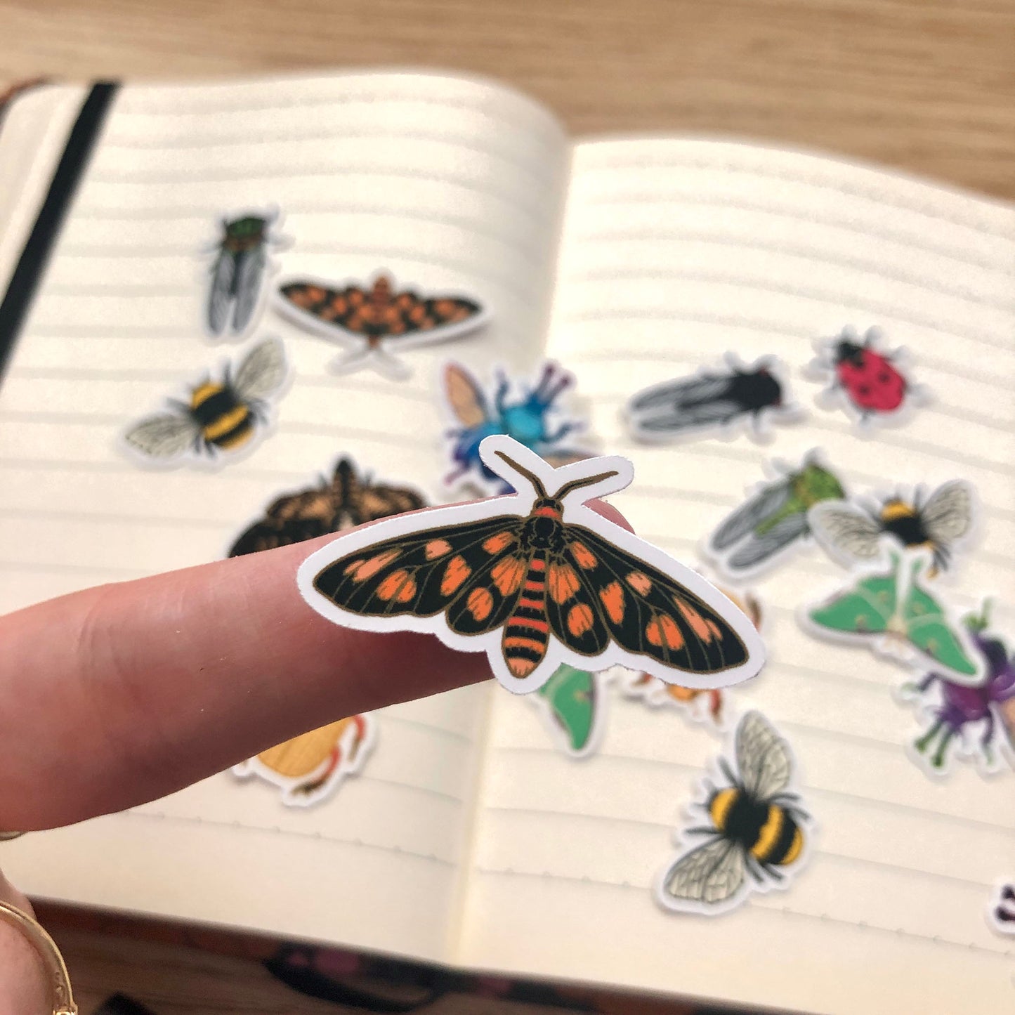 Mixed Insect Mini Sticker Pack (20 pack)