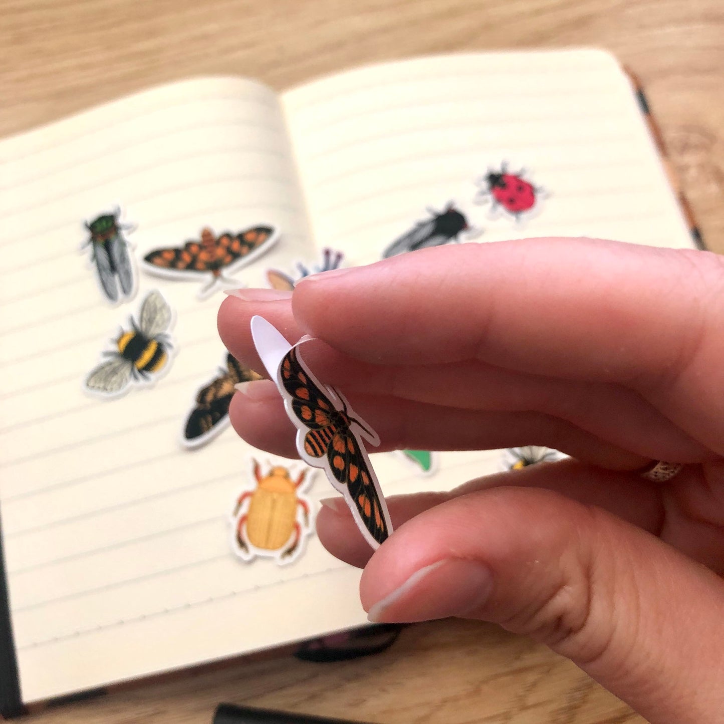 Mixed Insect Mini Sticker Pack (20 pack)