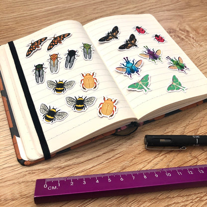 Mixed Insect Mini Sticker Pack (20 pack)