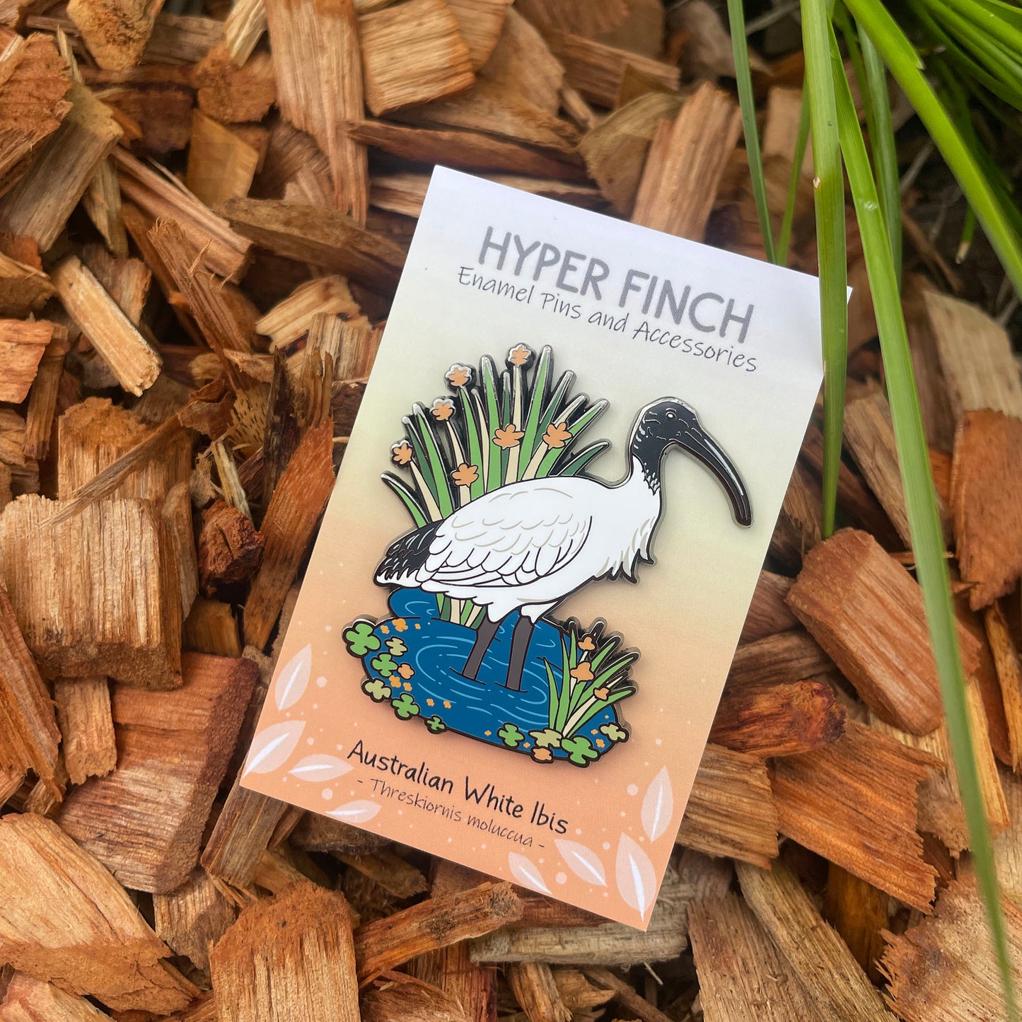 Australian White Ibis Enamel Pin