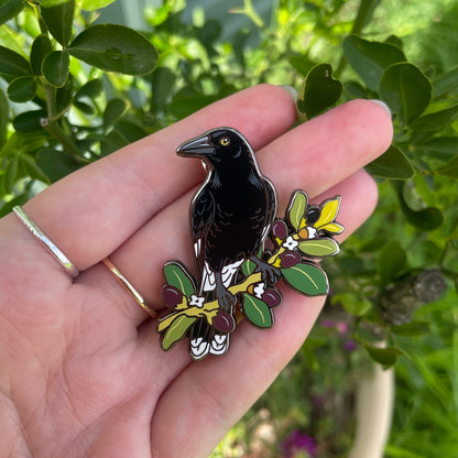 Pied Currawong Enamel Pin