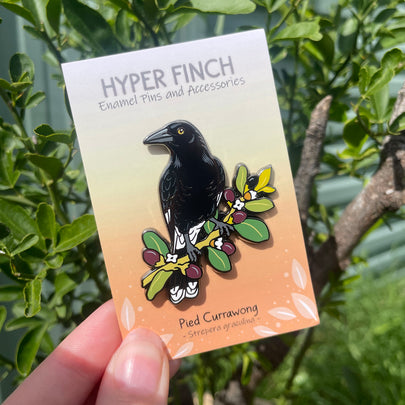 Pied Currawong Enamel Pin