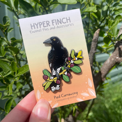 Pied Currawong Enamel Pin