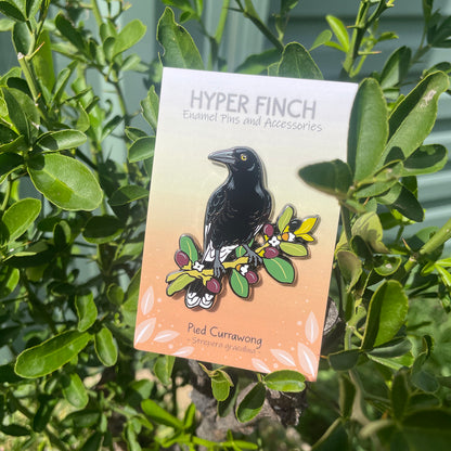 Pied Currawong Enamel Pin