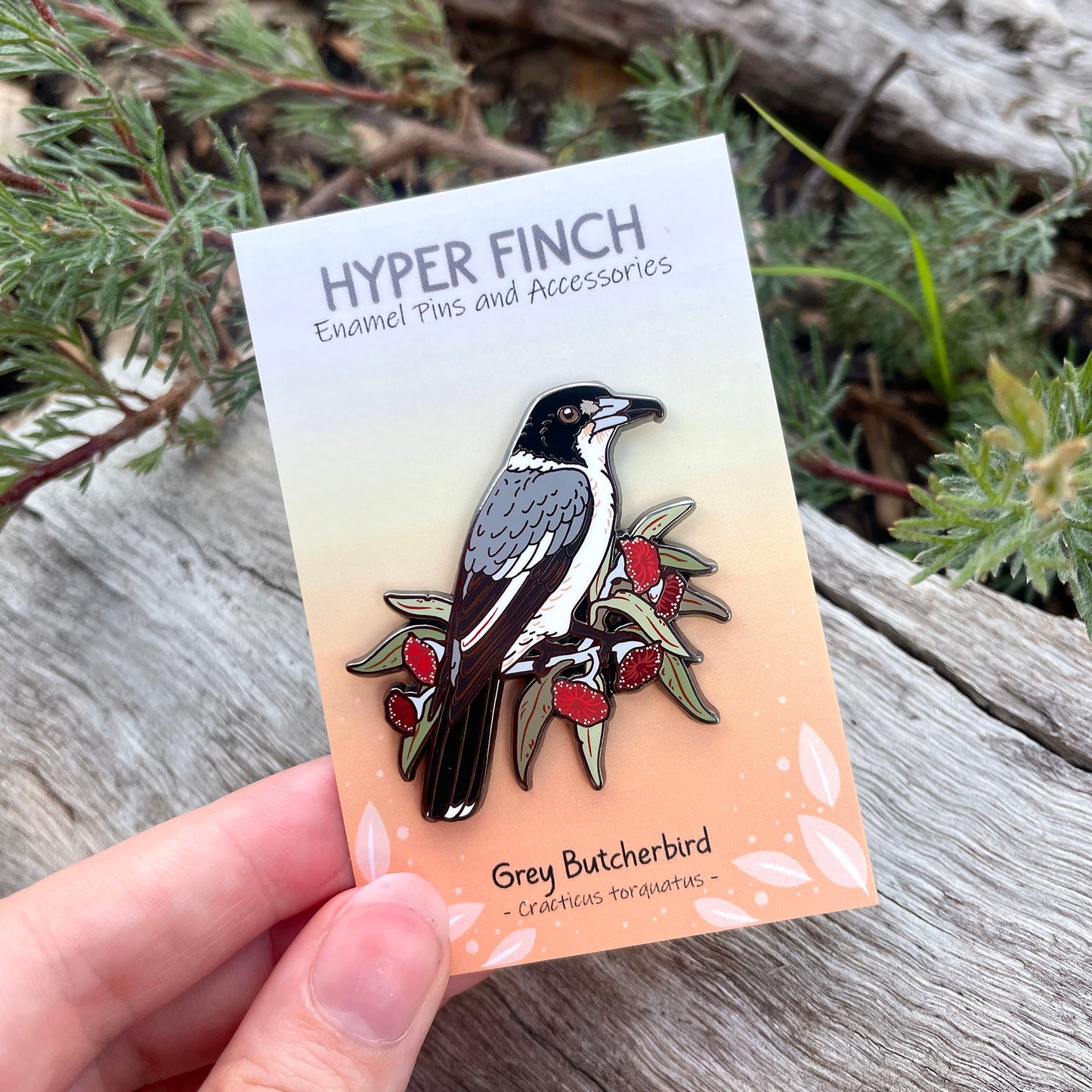 Grey Butcherbird Enamel Pin
