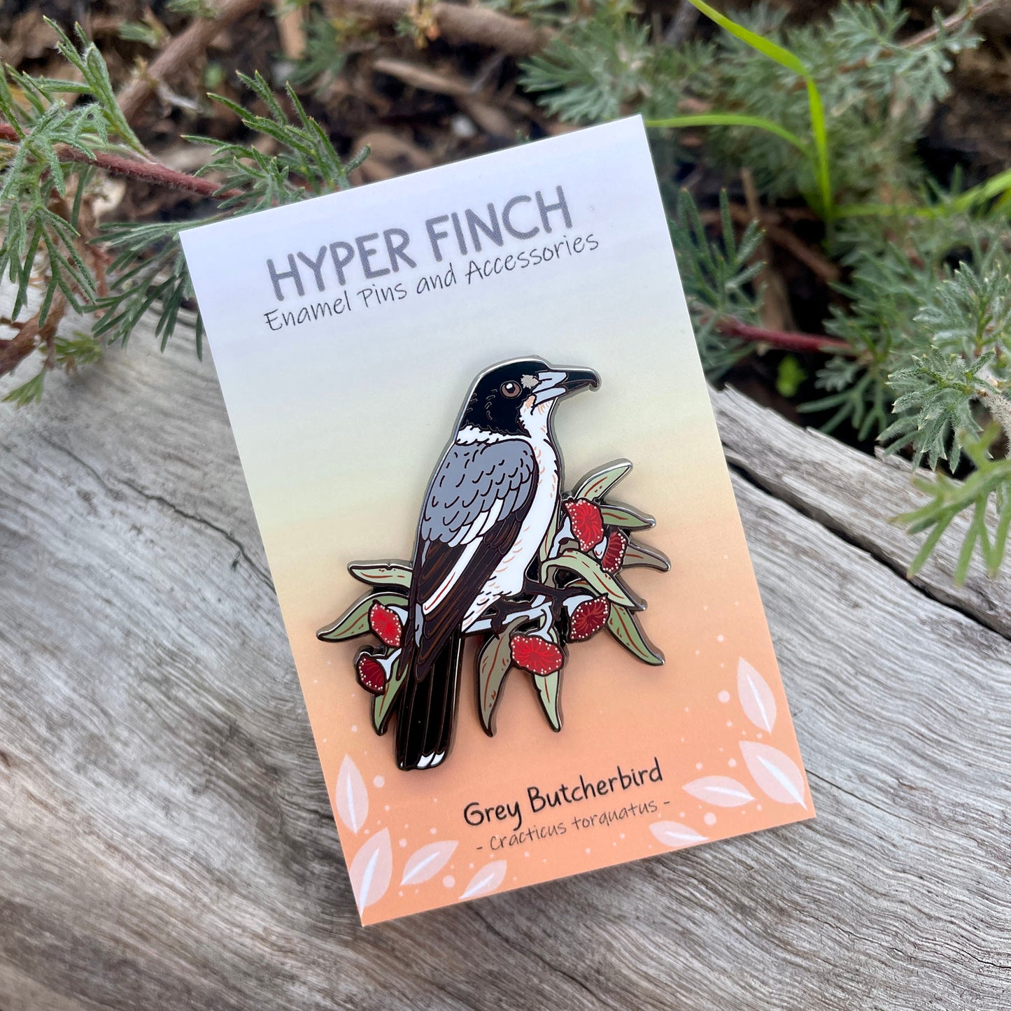 Grey Butcherbird Enamel Pin