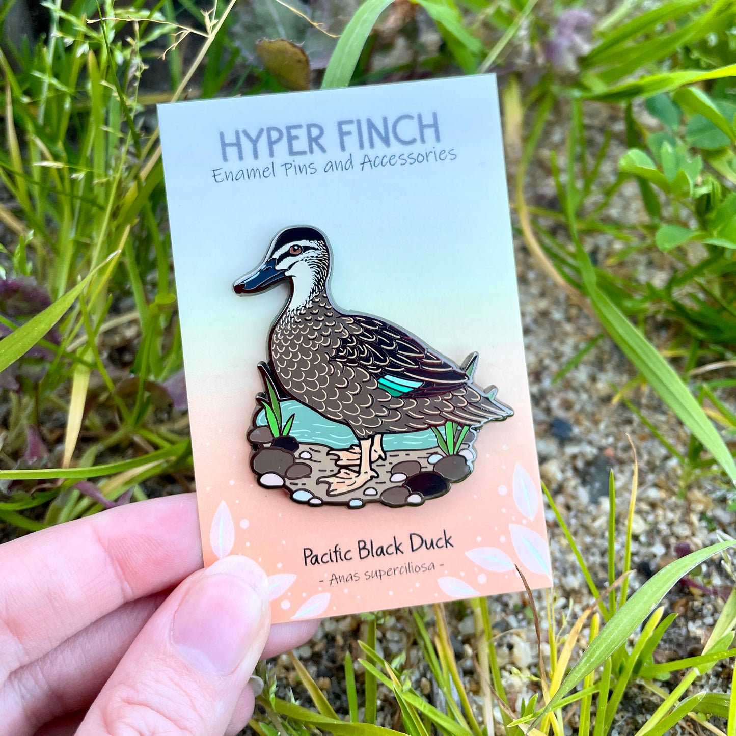Pacific Black Duck Enamel Pin