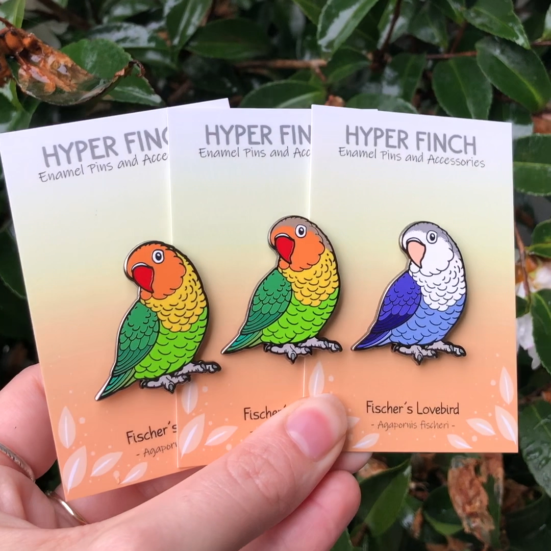 Fischer's Lovebird Enamel Pin