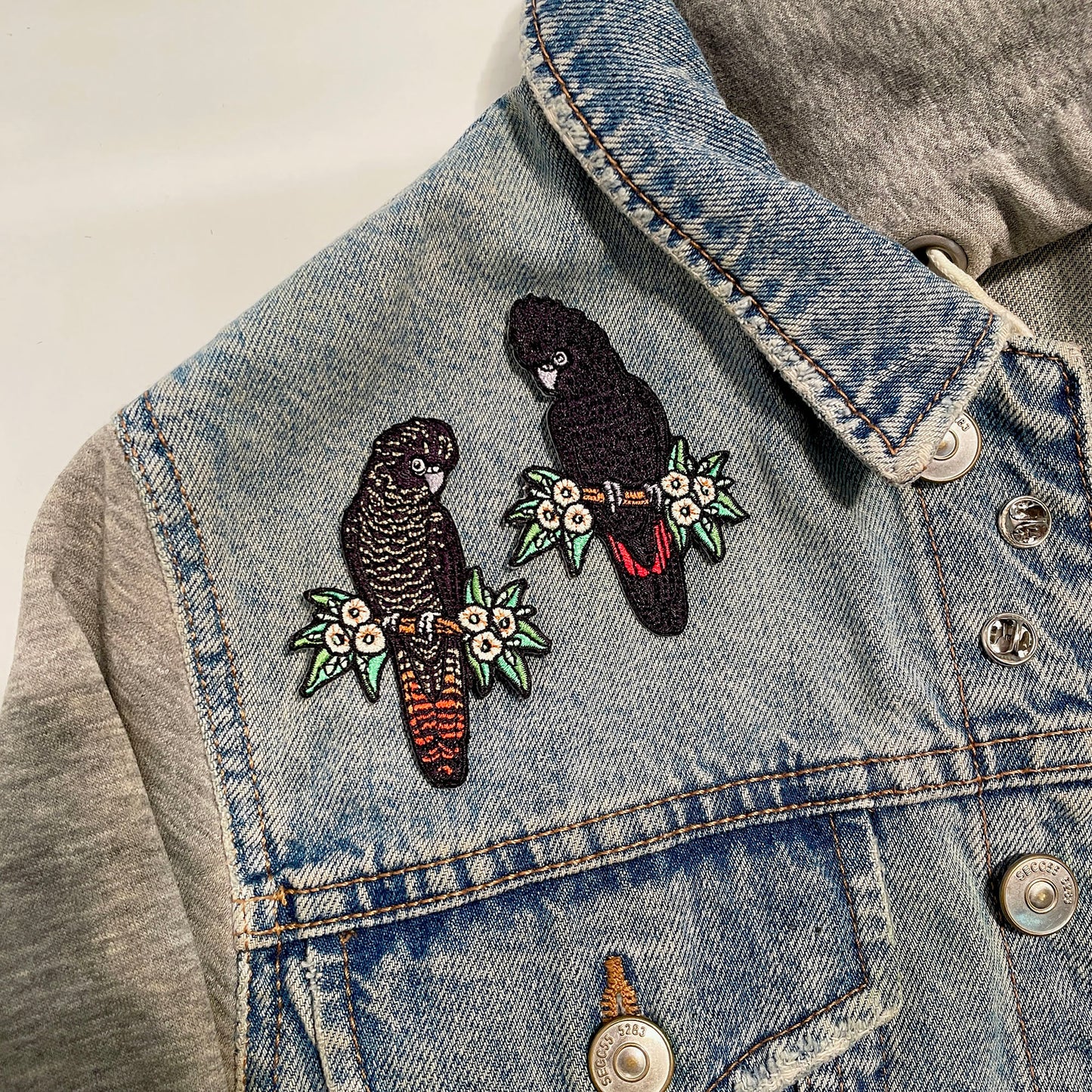 Red-tailed Black Cockatoo (Female) Embroided Iron on Patch