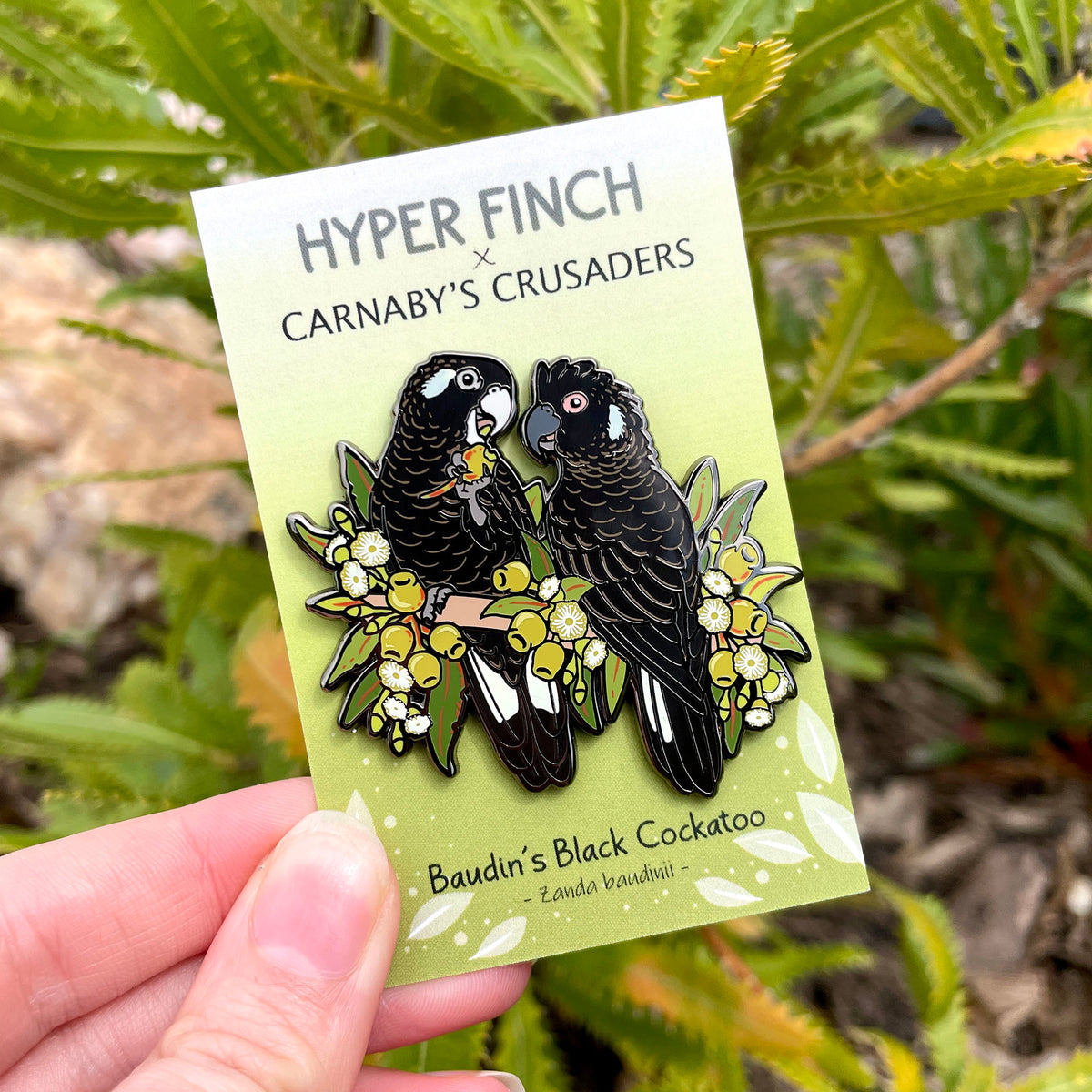 Baudin’s Black Cockatoo Enamel Pin